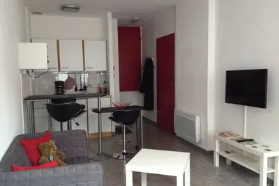 Image de Joli studio entièrement rénové en centre ville