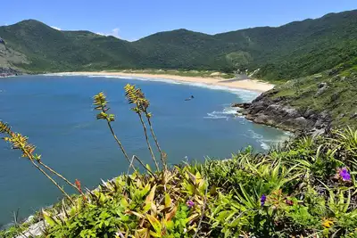 Image de Morceau de paradis - Florianopolis