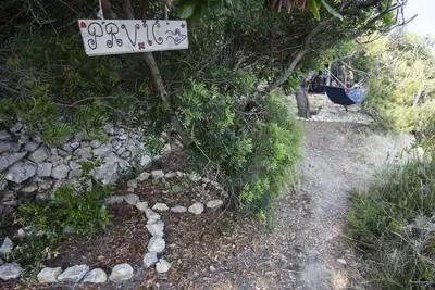 Image de Détendez-vous dans une zone conviviale lors de l'évasion de l'île sur l'île de Bisevo (Blue Cave)