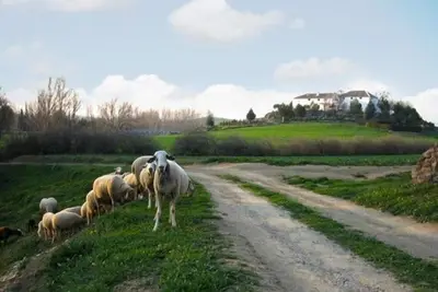 Image de Gîte Cortijo La Gineta pour 6 personnes