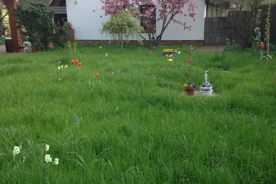 Image de Maison de vacances dans le Vorspreewald avec sa propre apiculture 6 lits