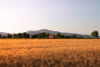 Image de Ferme Pescinone - Lavande, pays Côte des Etrusques et de la mer