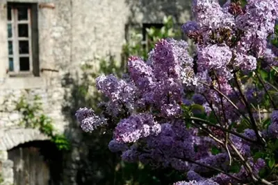 Image de \"le Casal\" Larzac Cévennes Régagnas