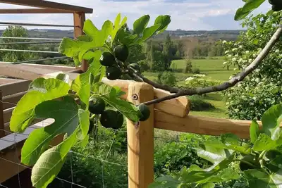 Image de grande girondine au coeur du vignoble du pays de montaigne et de gurson