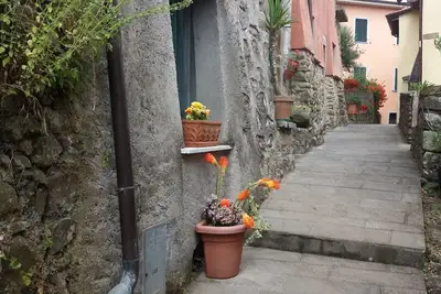 Image de 5 Cinque Terre Ă la campagne (code Citra 011006-Lt-0002)
