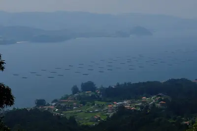 Image de Maison dans les Rias Baixas
