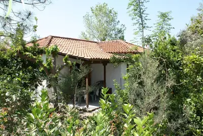 Image de Calme, au milieu d'une oliveraie, près de la plage, wifi | Maison de vacances Ili