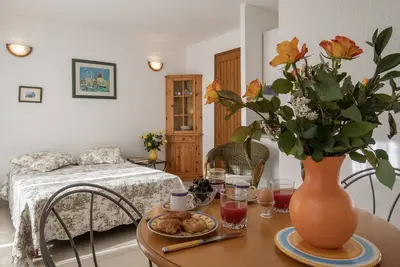 Image de Joli studio 2 pers. équipé avec terasse et jardin dans villa à St Paul de Vence