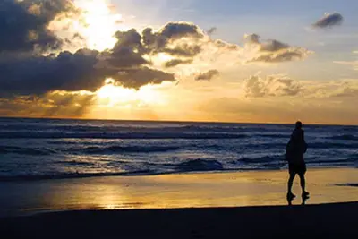 Image de Des vacances à la plage tropicale!