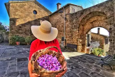 Image de Profitez de mon toscan - la colline toscane