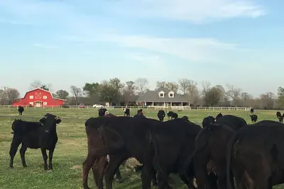 Image de Grange atopia Ranch A&M Ut Dallas Houston College Station Austin Huntsville