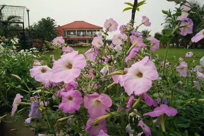 Image de Nongore - Une villa de luxe au bord du Gange