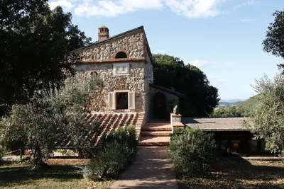 Image de Charmante oliveraie récemment rénovée au cœur de la Toscane