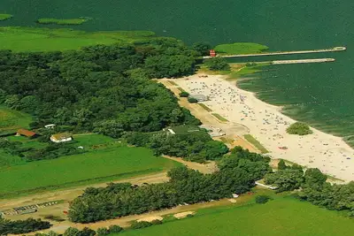 Image de Ueckermünde, près de la plage, sur le côté gauche de la forêt