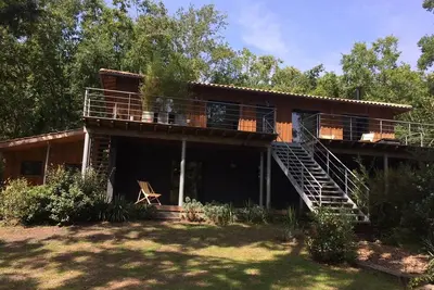Image de Au milieu des arbres, maison style cabane tchanquée