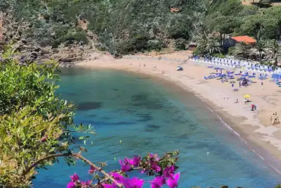Image de A quelques pas de la mer rdv est offre spéciale wifi gratuit
