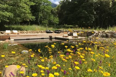 Image de U Pratu, bungalows en pleine nature, piscine naturelle et jardin bio