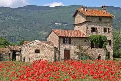 Image de Lovely 4 bedroom villa, private pool, 3km to Cortona, walk to restaurant