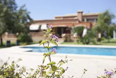 Image de Grande Plage Finca Pour Les Familles