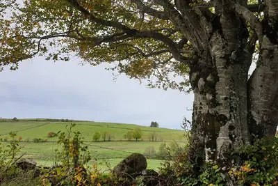 Image de Bel Horizon Aubrac 12 Laguiole