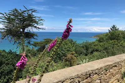 Image de Maison « La Terrasse de Sophie » vue sur mer à Plougasnou dans le Finistère