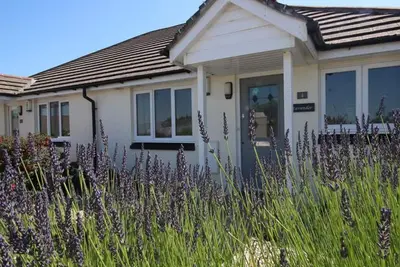 Image de Lavender, walking distance of Wadebridge Town