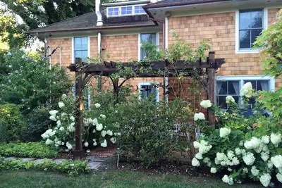 Image de Eh Village: Marchez À Tous De Cette Oasis PRIVÉE. Locations mensuelles considérées