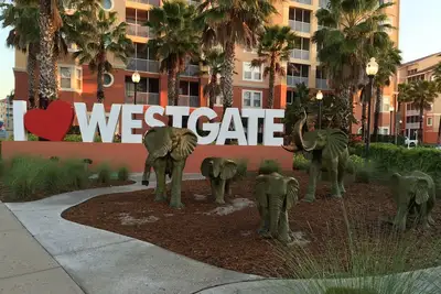 Image de 1 Studio Studio de Luxe