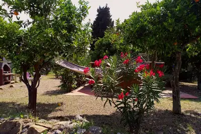 Image de Maison de campagne entourée d'olives et de citrons. À la mer Excursions en bateau privé à réserver