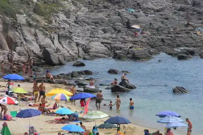 Image de Mon refuge fleuri dans les vagues