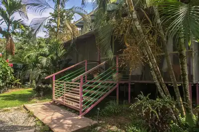 Image de Écoutez les sons de la forêt tropicale!
