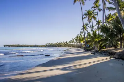 Image de Nouveau! Appartement De Luxe En Plage Avec Vue Sur L'OCÉAN - Cuisine / Nettoyage Inclus!