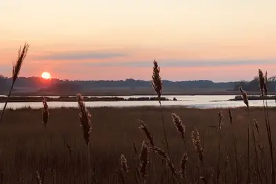 Image de Un cottage meublé de façon traditionnelle avec une vue fantastique sur l'estuaire d'Alde