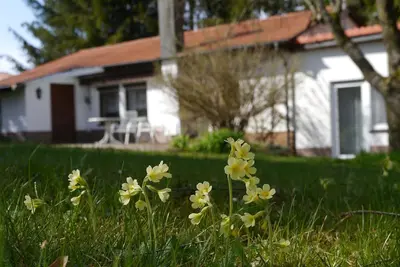 Image de Bisingen, maison idyllique avec jardin, clôturé, animaux acceptés