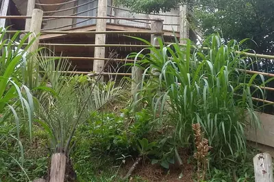 Image de Maison de saison pas cher à Praia do Rosa