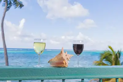 Image de Magnifique condo sur la plage. Profitez d'une vue imprenable et de la brise fraîche de l'océan.