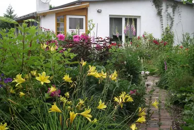 Image de Maison meublée avec goût avec grand jardin