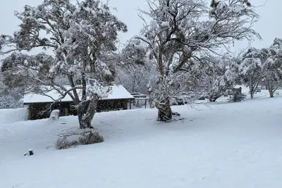 Image de Rustic Log Cabin sur 100 acres au cœur des Snowy Mountains