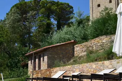 Image de Moulin à olives restauré de l'Ombrie à Castello Di Montegiove, Leccino