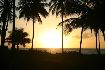 Relax-Unwind-Topical Escape Beach / Sanctuary Home - 3500 acres! Privé et Prestine
