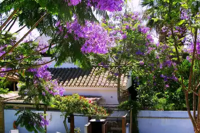 Image de Maison Jacaranda 2 Roche Viejo