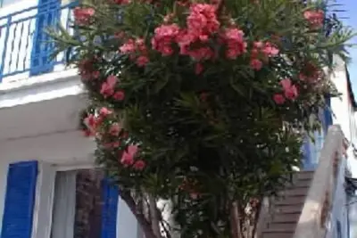 Image de Trois pièces lumineux au 1er étage d'une villa, à10 mn à pied du bord de mer.
