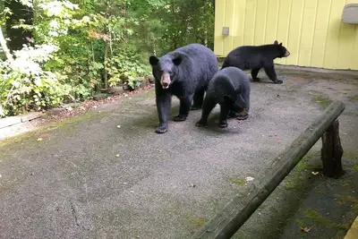 Image de Vues sans fin les vues les plus incroyables