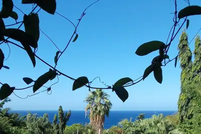 Image de Un gîte de charme surplombant la Mer des Caraïbes et un grand jardin tropical
