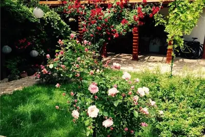 Image de Maison élégante dans un quartier calme et verdoyant à Iasi