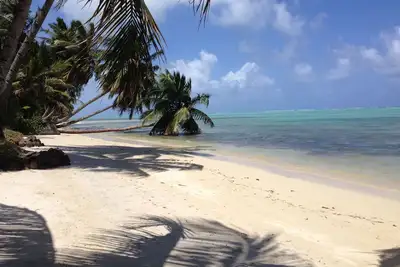 Image de Ile Sainte Marie Maison en Bois Sur La Plage Avec Jardin Face Au Lagon Cote Est