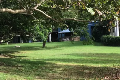 Image de 12 acres d'espace ouvert et de collines verdoyantes aux portes de l'arrière-pays de Byron
