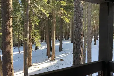 Image de Vacances relaxantes à distance de marche du ski et de la vie nocturne. Famille, ami des animaux