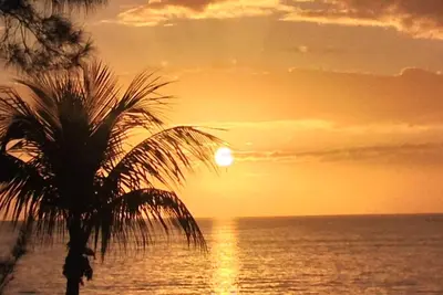 Image de Paradise Vacation At Villa 607