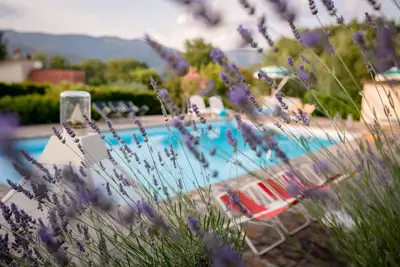 Image de Appartement entouré d'un magnifique parc avec piscine situé en centre ville